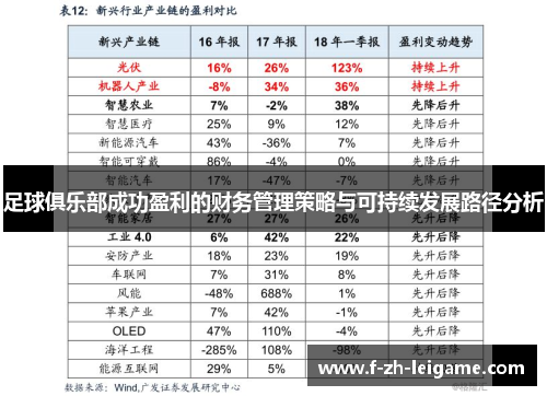足球俱乐部成功盈利的财务管理策略与可持续发展路径分析 足球俱乐部成功盈利的财务管理策略与可持续发展路径分析