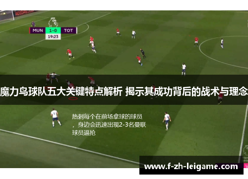 魔力鸟球队五大关键特点解析 揭示其成功背后的战术与理念